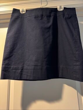Talbots Navy Mini Skirt